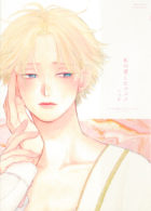 私の愛したツバメ