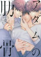 アダムの肋骨 2