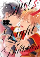 スポットライト・ハレーション